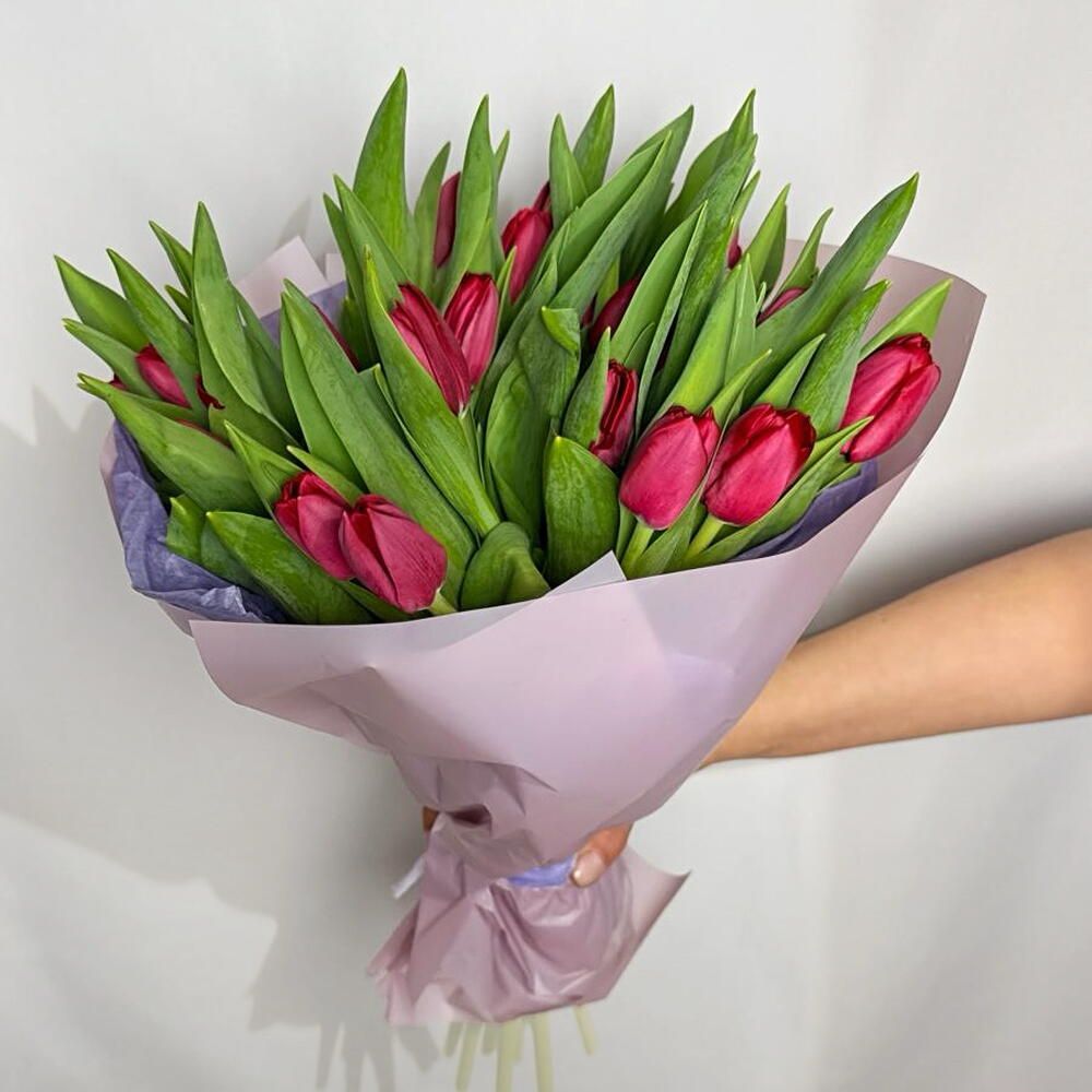 Ramo de tulipanes fucsia, 15 tulipanes