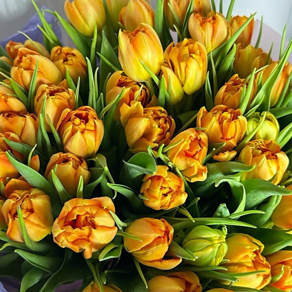 Ramo de tulipanes dobles naranja, 50 tulipanes (foto 2)