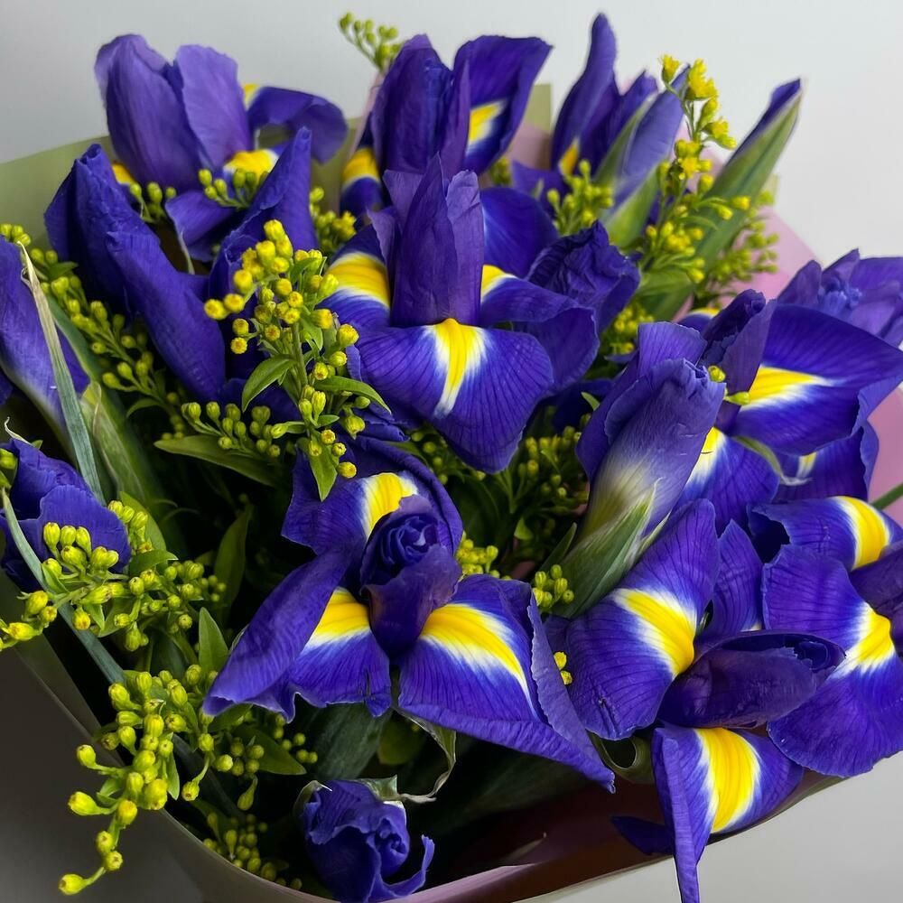 Ramo de iris y solidago, 20 iris (foto 6)