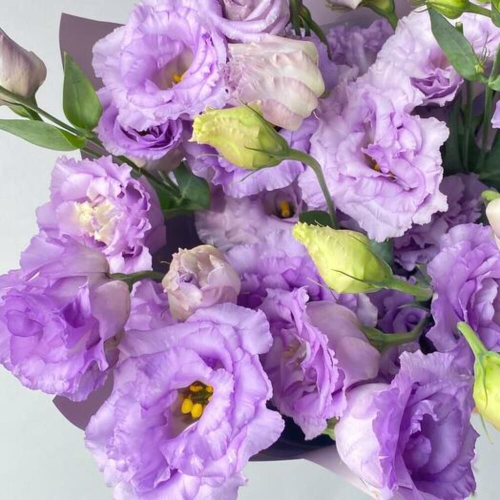 Ramo de lisianthus lila, 9 tallos (foto 6)