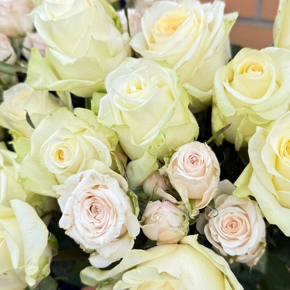 Ramo de rosas blancas y crema, 33 rosas (foto 3)